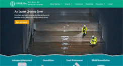 Desktop Screenshot of hiberniaenvironmental.com